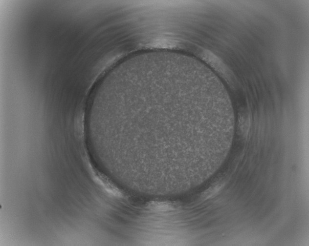 X0000071760534200607220012