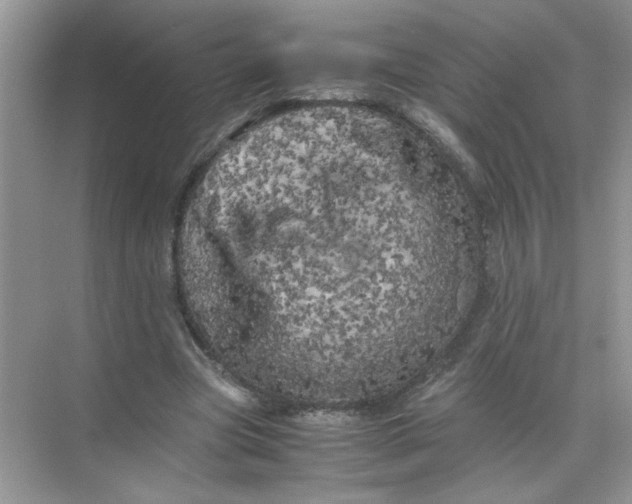 X0000071760537200607220012