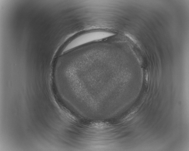 X0000071760540200607220012