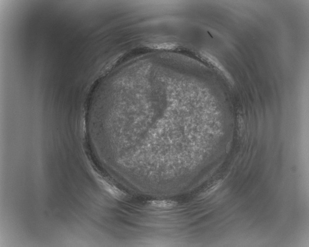 X0000071760541200607220012