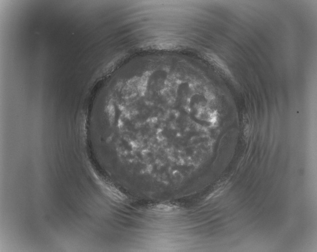 X0000071760542200607220012