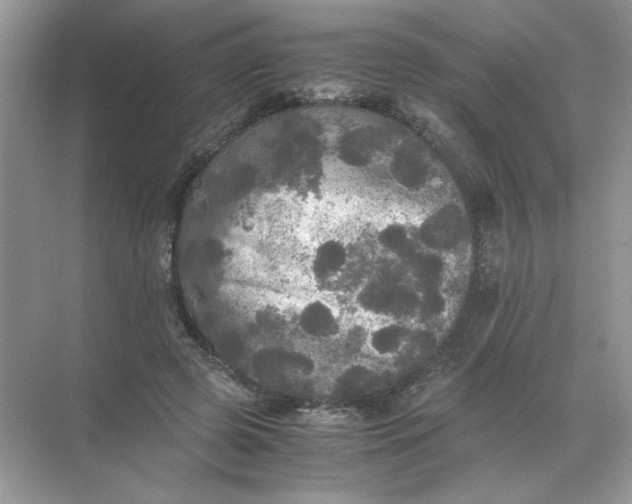 X0000071760545200607220012