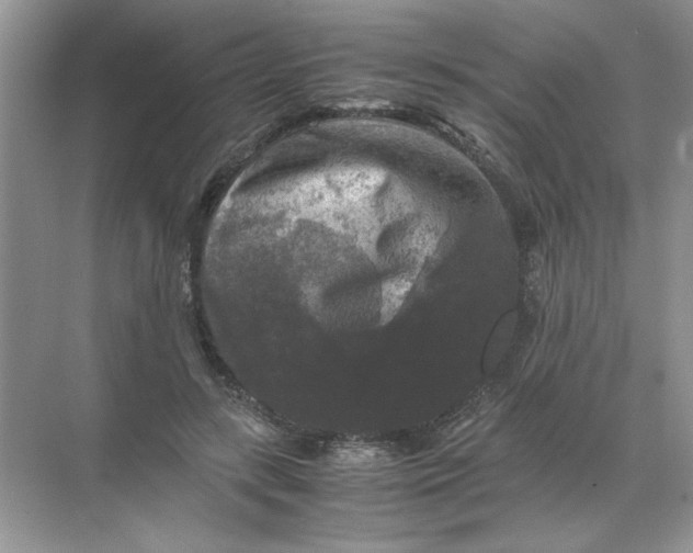 X0000071760547200607220012