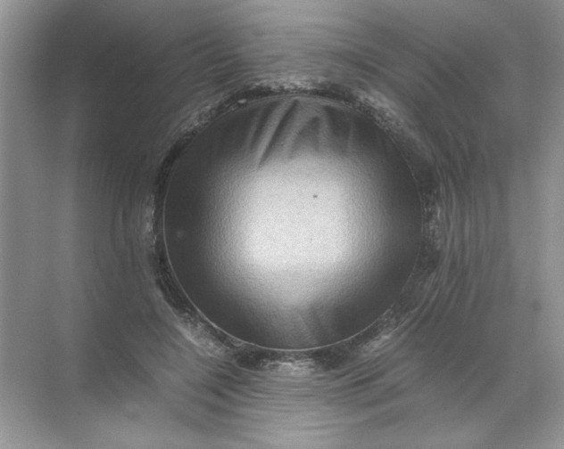 X0000071760548200607220012