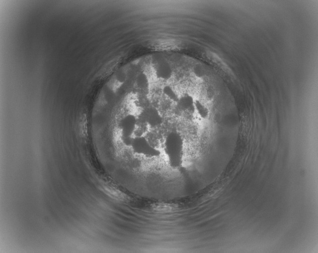 X0000071760549200607220012