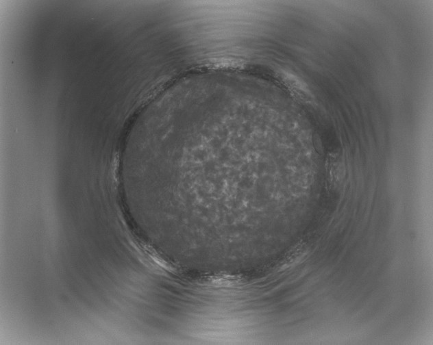 X0000071760550200607220012