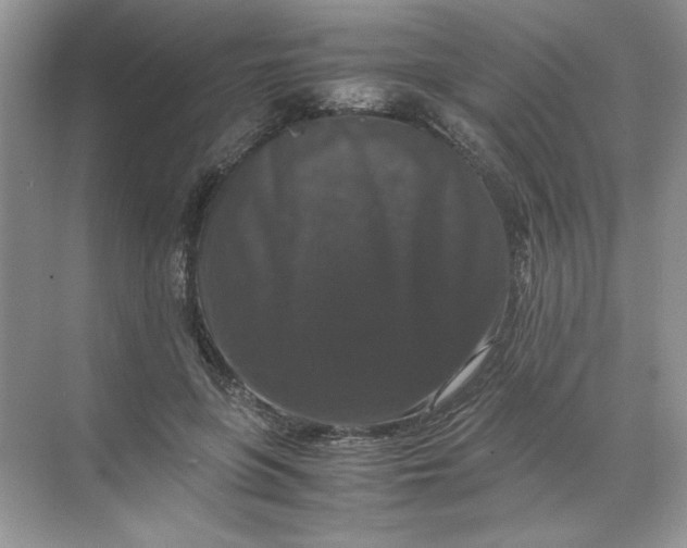 X0000071760551200607220012