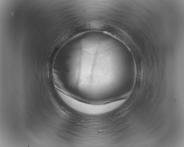 X0000071760552200607220012