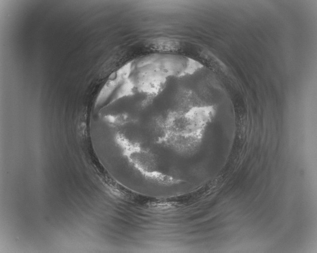 X0000071760553200607220012