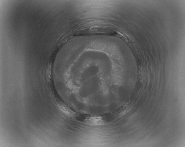 X0000071760554200607220012