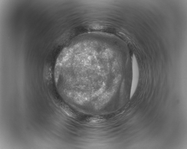 X0000071760555200607220012