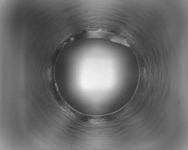 X0000071760556200607220012