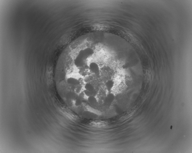 X0000071760557200607220012