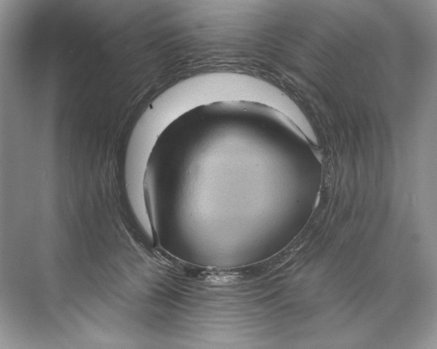 X0000071760560200607220012