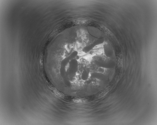 X0000071760561200607220012