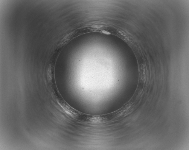 X0000071760562200607220012