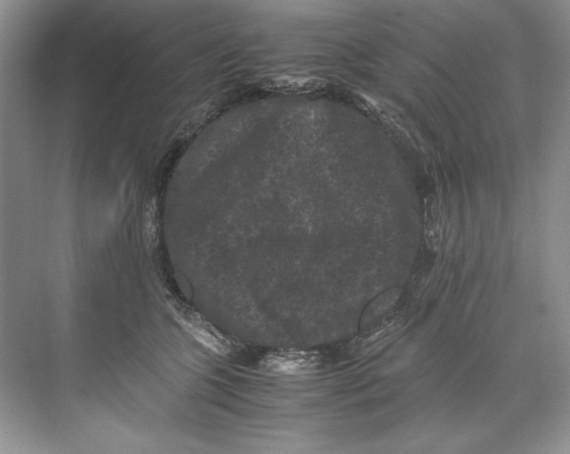 X0000071760563200607220013