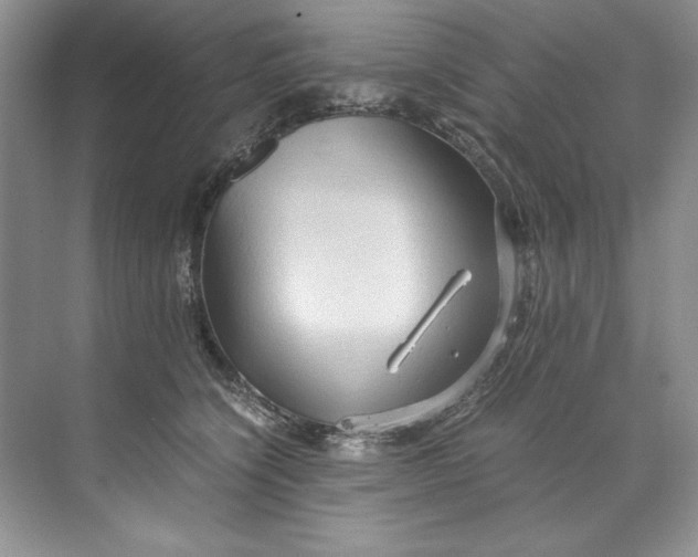 X0000071760564200607220013