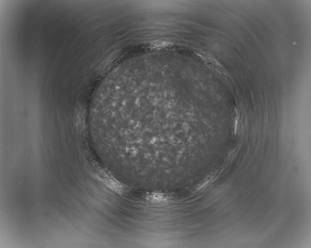 X0000071760565200607220013