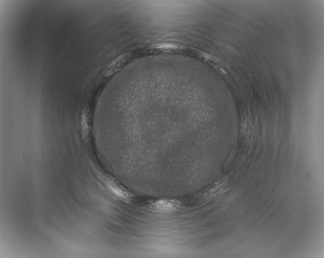 X0000071760566200607220013