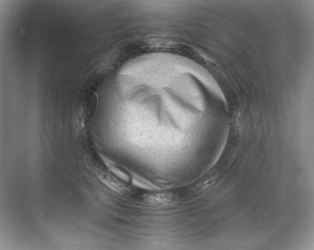 X0000071760567200607220013