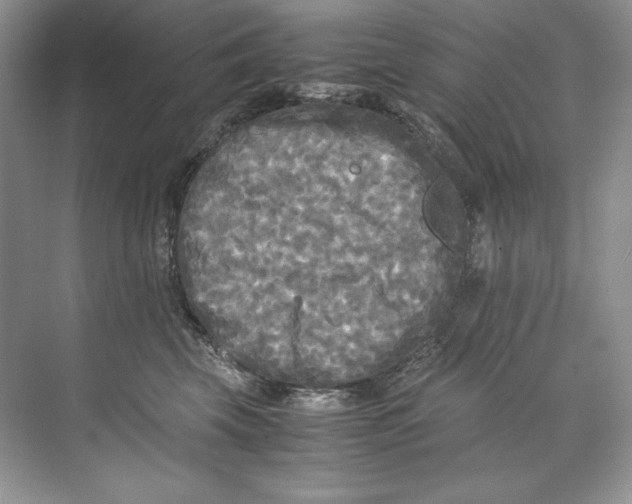 X0000071760569200607220013