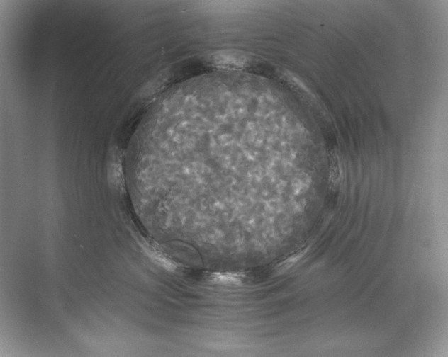 X0000071760573200607220013