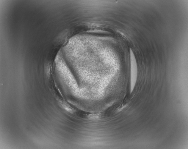 X0000071760574200607220013