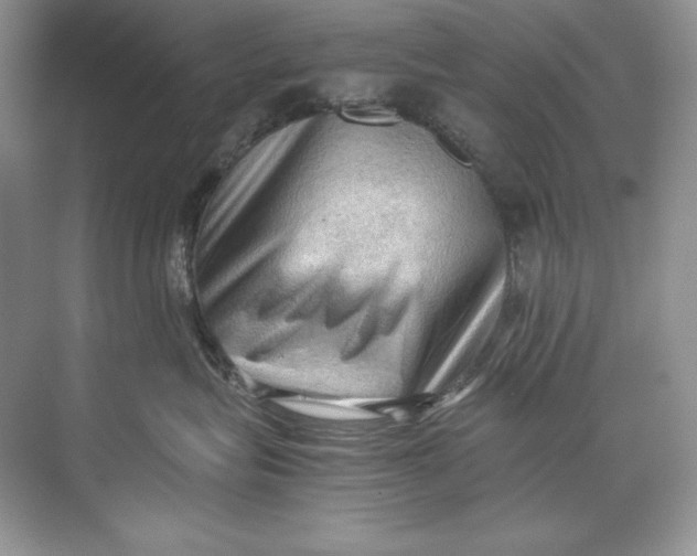 X0000071760575200607220013