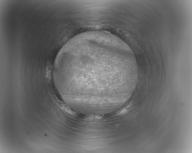 X0000071760576200607220013