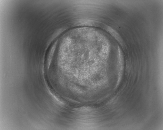 X0000071760578200607220012