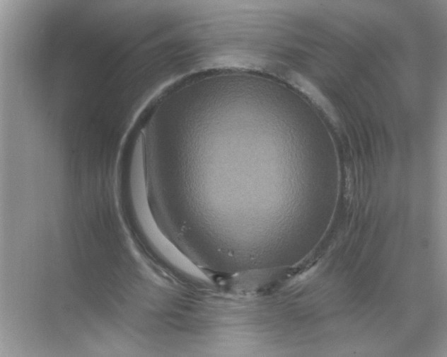 X0000071760580200607220012