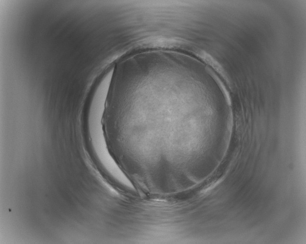 X0000071760581200607220012