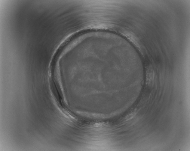 X0000071760584200607220012