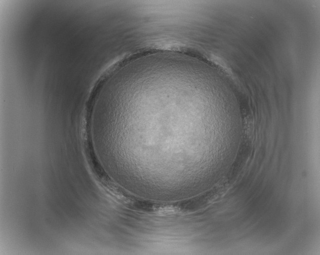 X0000071760587200607220012