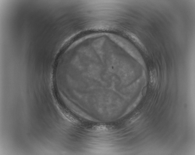 X0000071760588200607220012