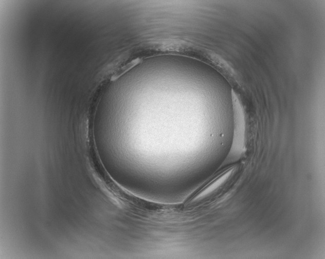 X0000071760589200607220012