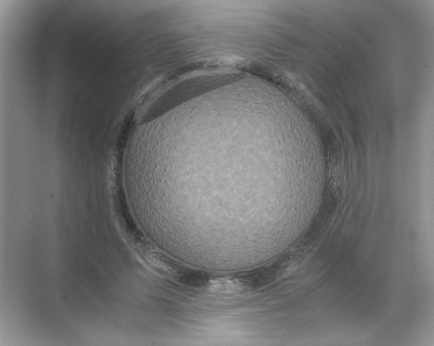 X0000071760591200607220012