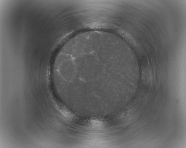 X0000071760592200607220012