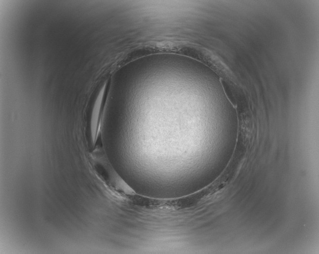 X0000071760593200607220012