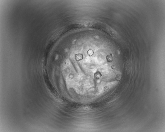 X0000071760594200607220012