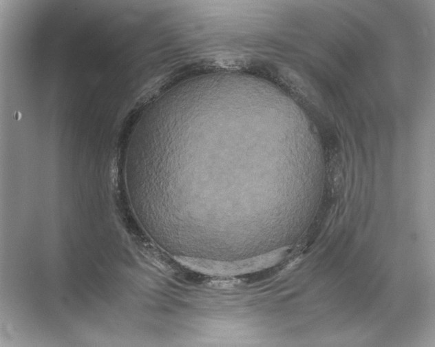 X0000071760595200607220012