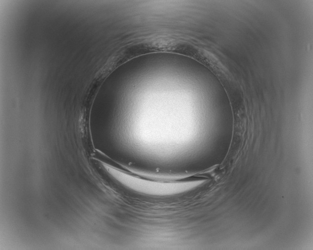 X0000071760597200607220012