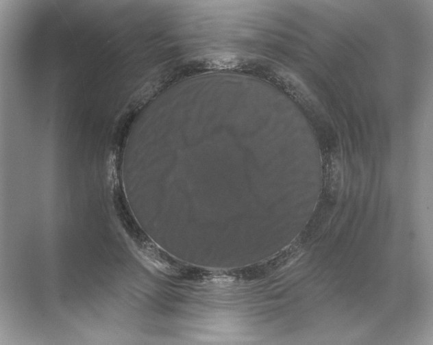 X0000071760598200607220012