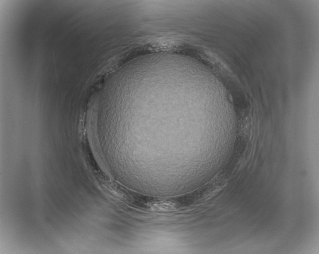 X0000071760599200607220012