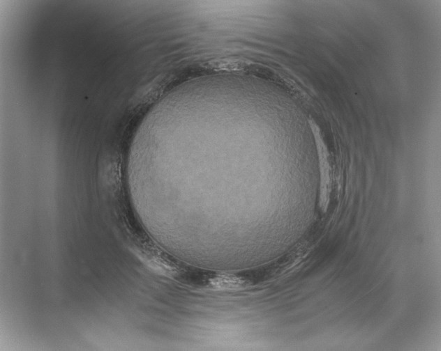 X0000071760603200607220011