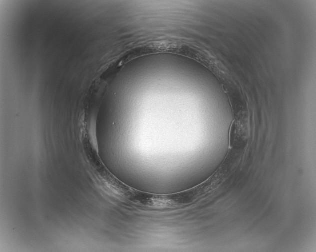 X0000071760605200607220011