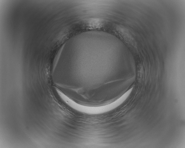 X0000071760608200607220011