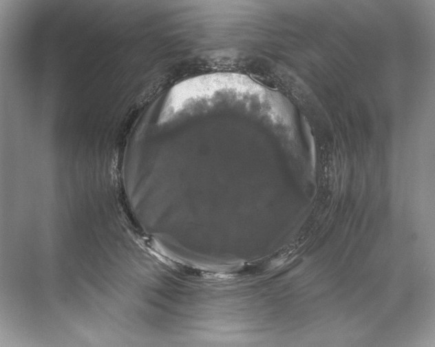 X0000071760610200607220011