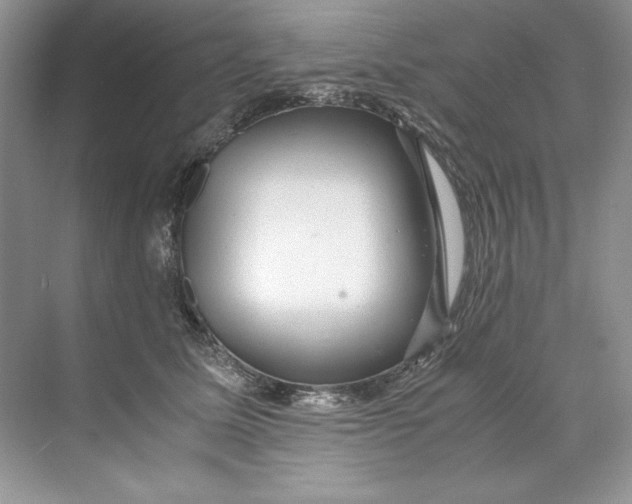 X0000071760611200607220011